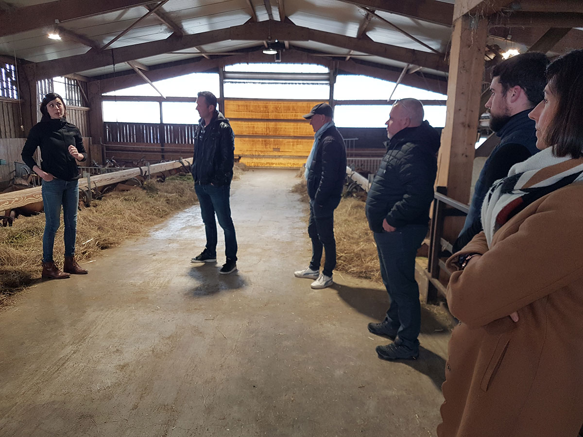visite ferme entre chèvres et choux