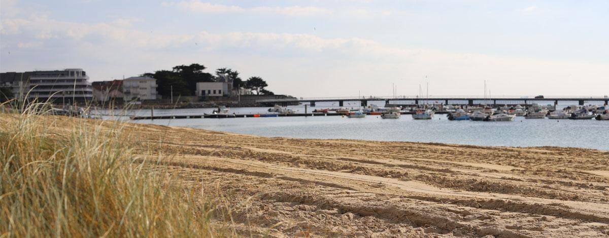 La renaturation de la dune continue