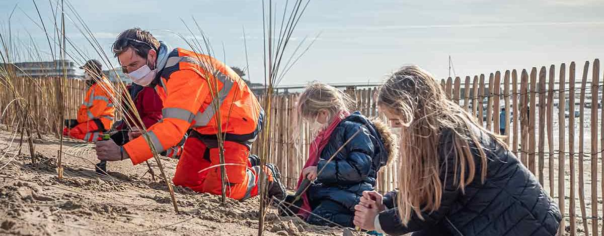 plantation oyats préservation dune