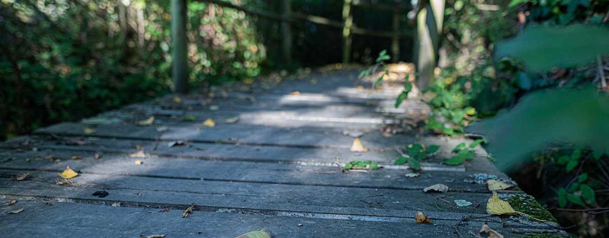 passerelle