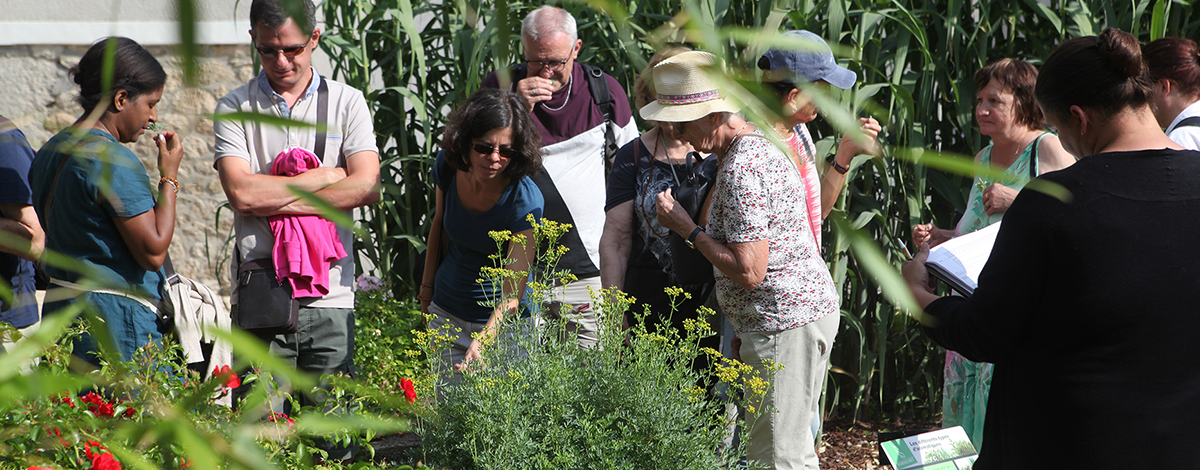 Les 3 et 4 juin prochains, Pornichet vous invite aux jardins