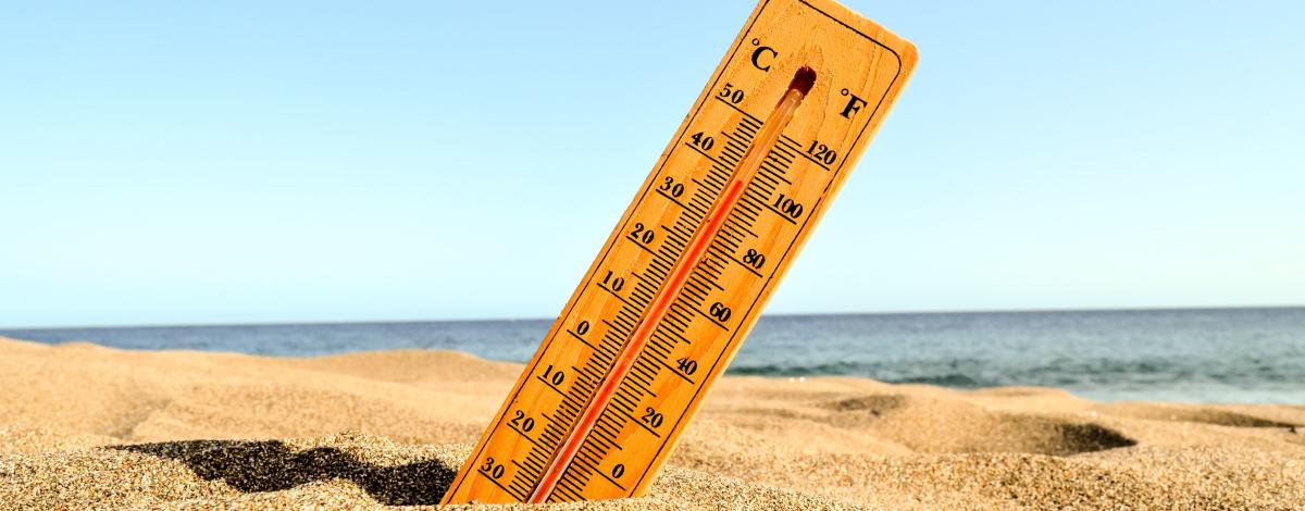 Canicule