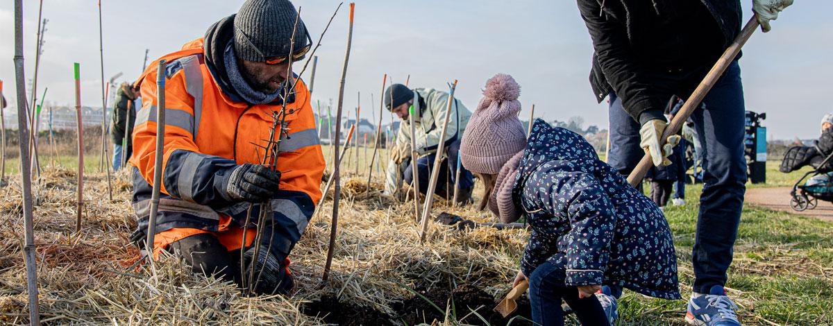 Une nouvelle mini-forêt en l’honneur des nouveaux nés