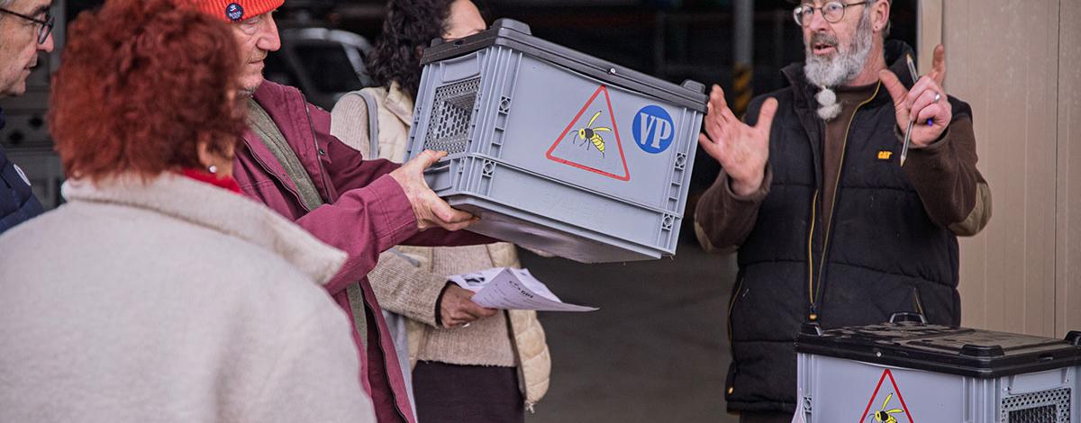 distribution piège frelons asiatiques pornichet