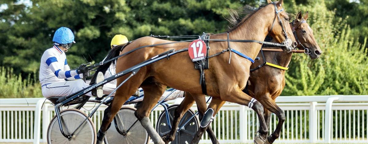 Courses au trot Pornichet