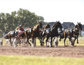 Trot à Pornichet