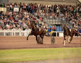 Trot à Pornichet
