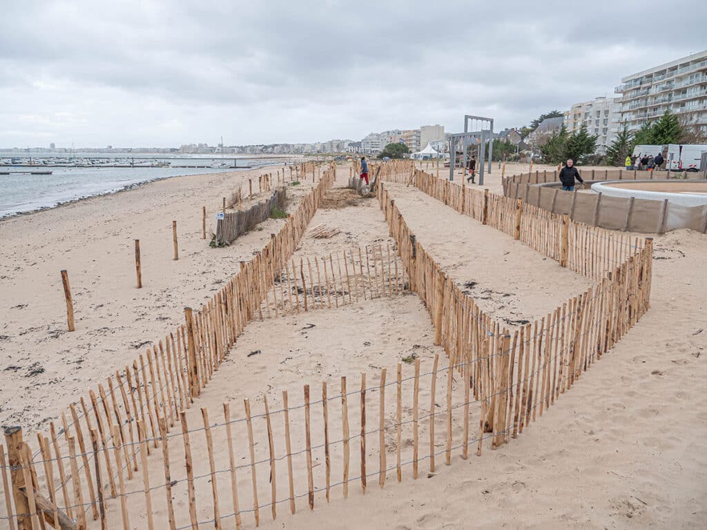 Pose des ganivelles sur la dune du port d'échouage